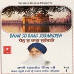 Dhan So Raag Sorangreh (Vol. 1) - Bhai Balbir Singh-Amritsar Wale Song Download